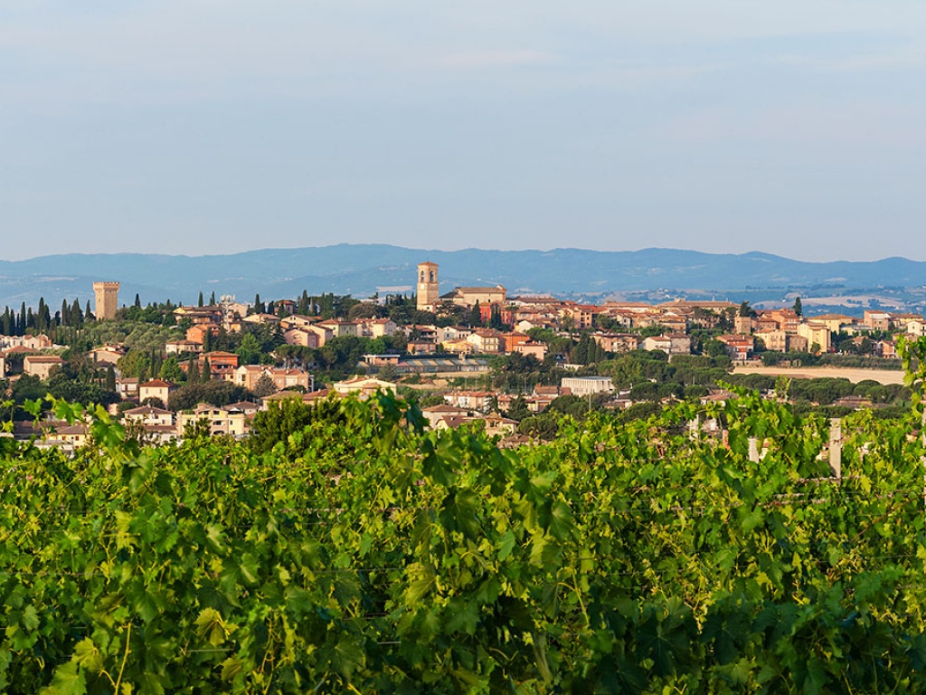 Festa della Vendemmia 2025 a Torgiano: tra tradizione e gusto