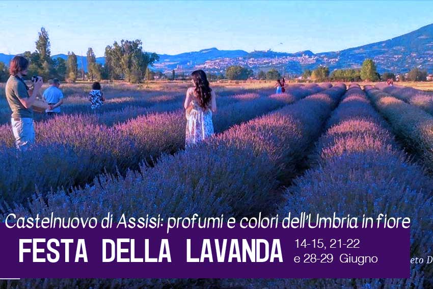 Festa della Lavanda a Castelnuovo di Assisi: profumi e colori dell’Umbria in fiore