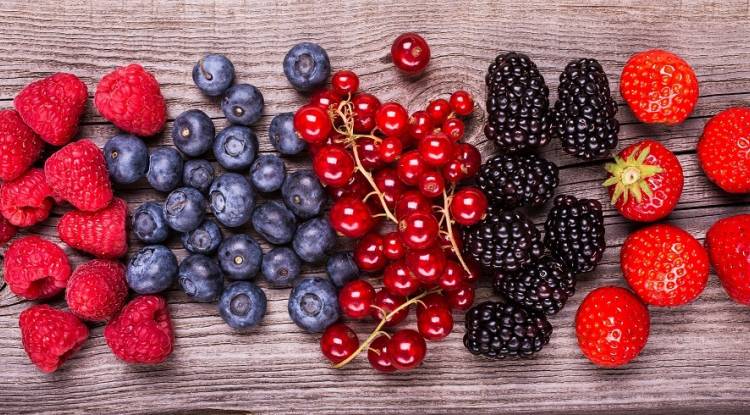 A Papiano (Marsciano), ritorna la Sagra dei Frutti di Bosco e dei Prodotti Tipici dell’Umbria