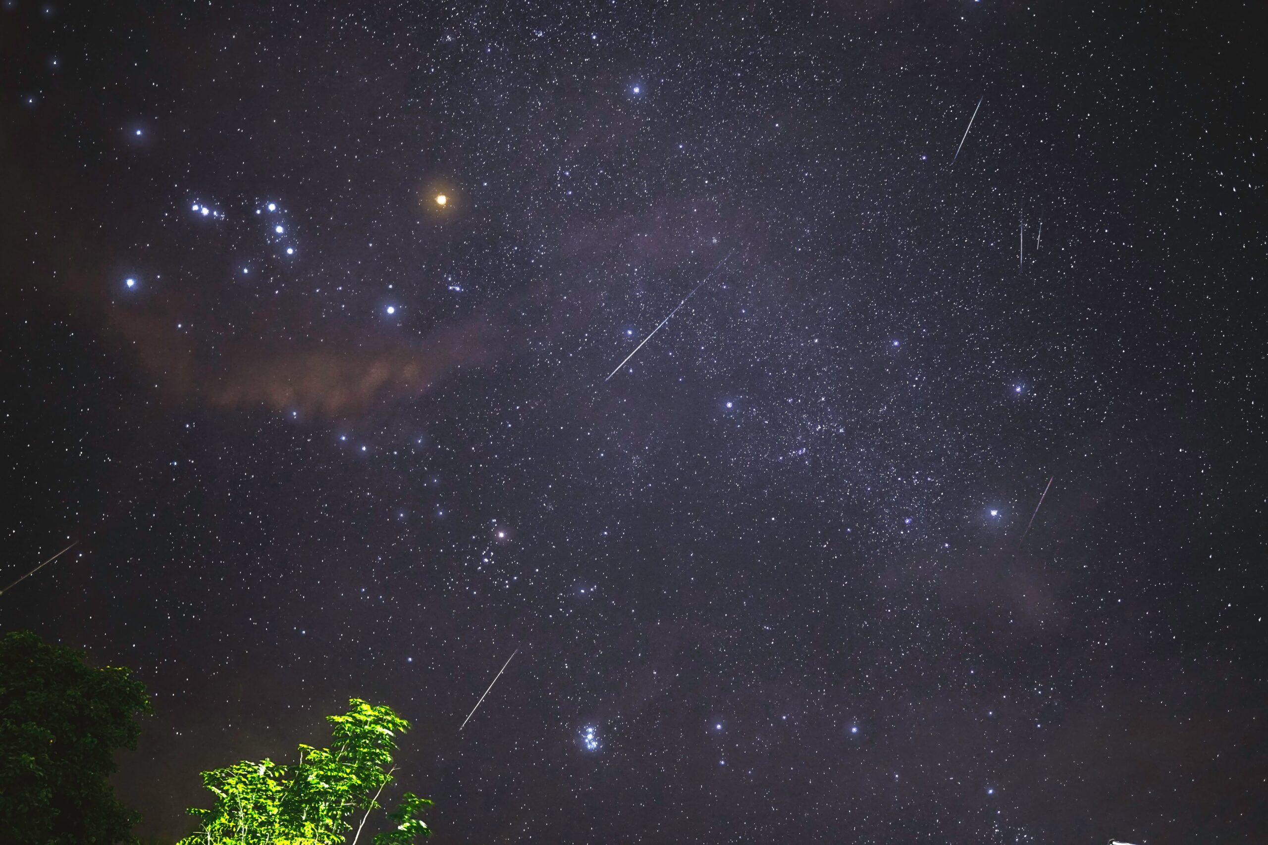 San Lorenzo in Umbria: Calici di Stelle