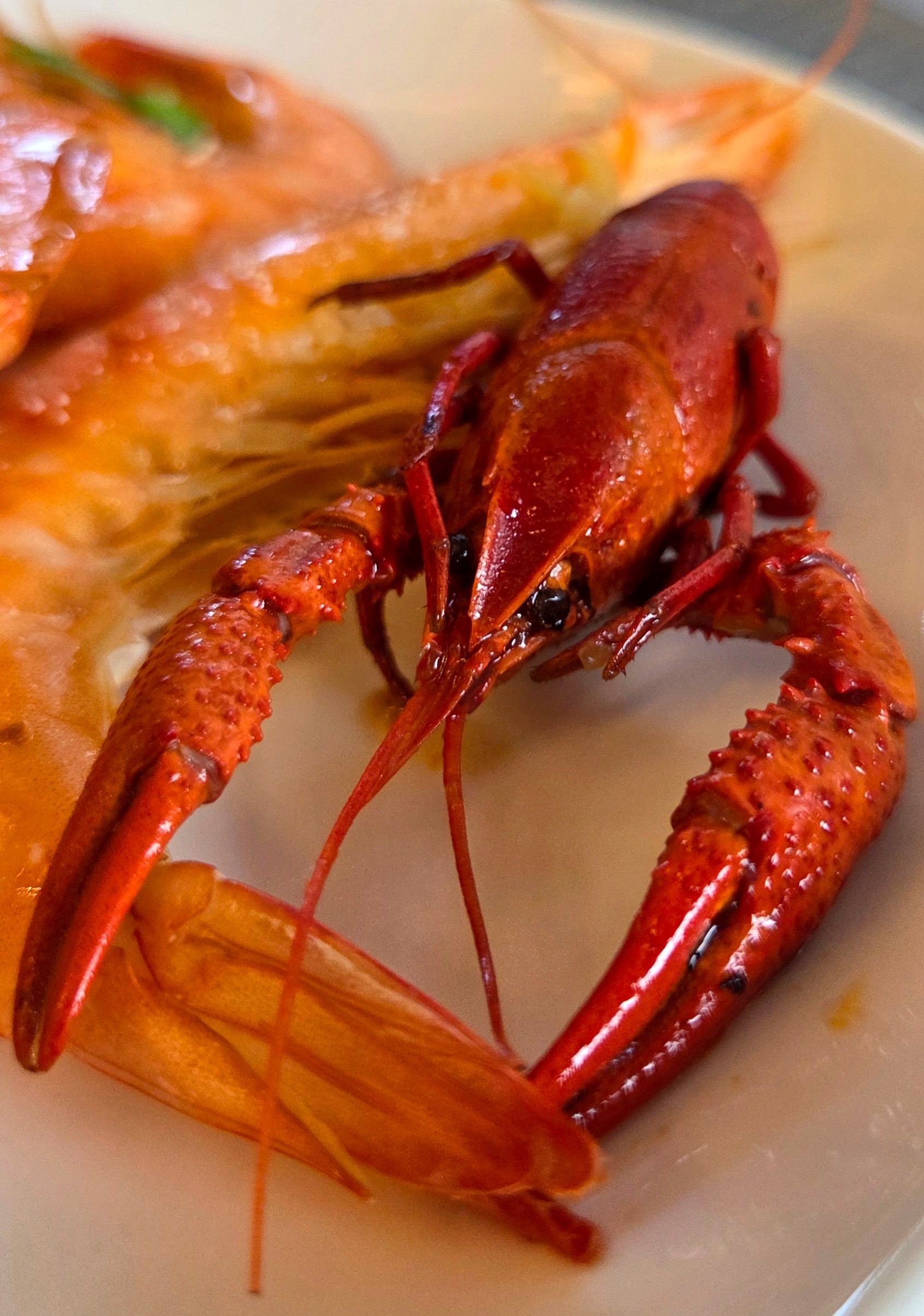 Gambero e Pesce del Trasimeno a San Savino