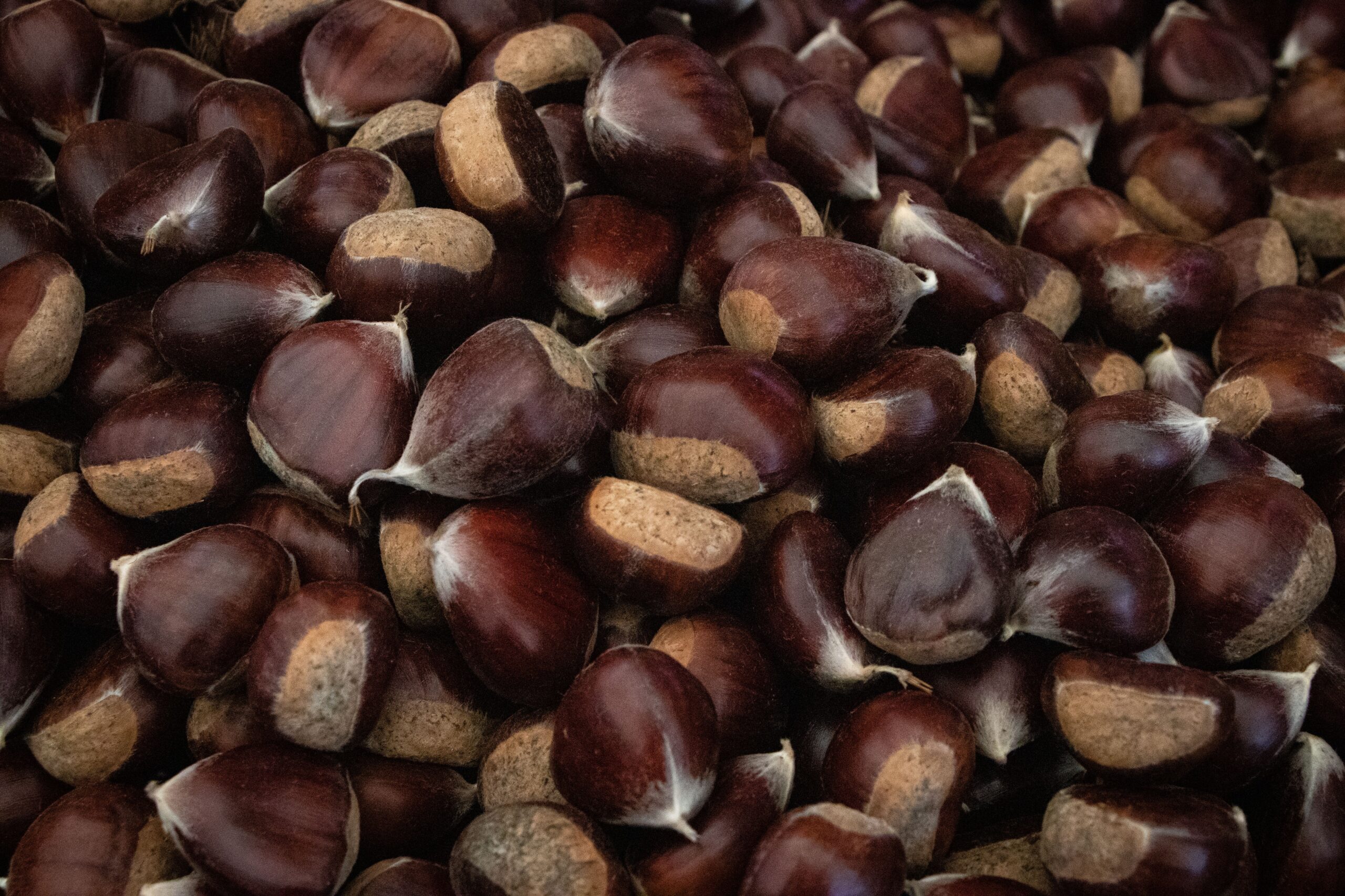 Olio e castagne nei borghi umbri