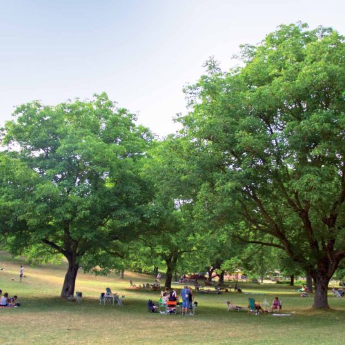 Stroncone: Il Borgo Segreto dell’Umbria Sospeso tra Storia, Magia e Silenzio
