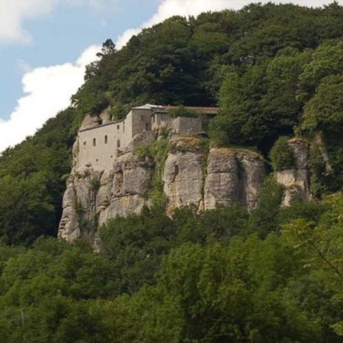 Danni alla pineta del Parco di Verna