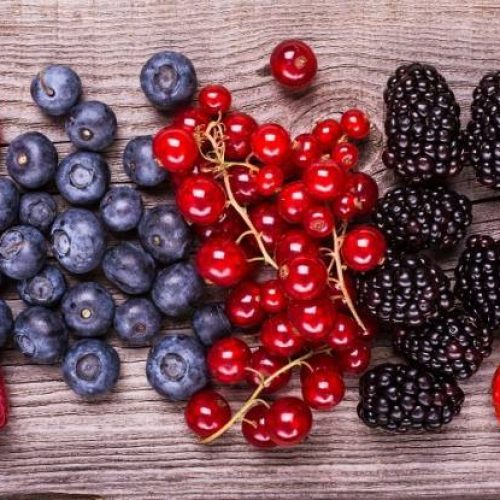 A Papiano (Marsciano), ritorna la Sagra dei Frutti di Bosco e dei Prodotti Tipici dell’Umbria