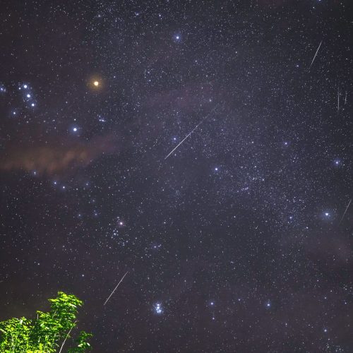 San Lorenzo in Umbria: Calici di Stelle