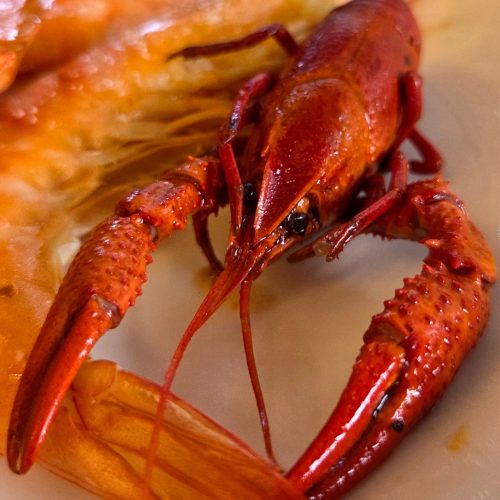 Gambero e Pesce del Trasimeno a San Savino