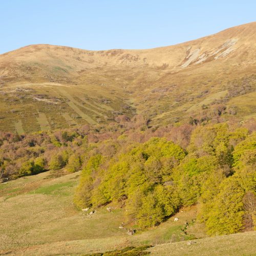 Trekking al Parco del Monte Cucco