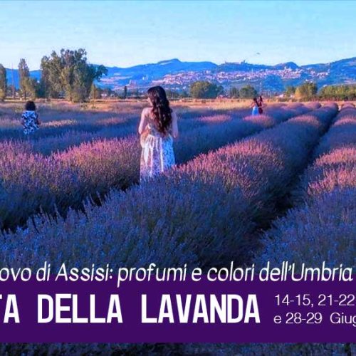 Festa della Lavanda a Castelnuovo di Assisi: profumi e colori dell’Umbria in fiore